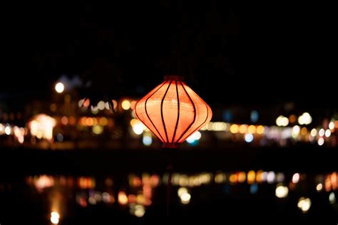 Free Images : light, night, flower, evening, reflection, darkness, lamp, lighting, chinese ...