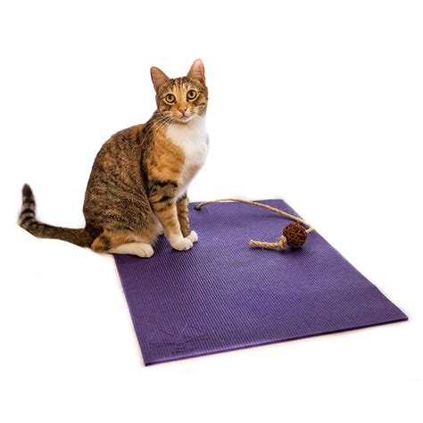 Yoga Cat Mat from Feline Yogi – hauspanther