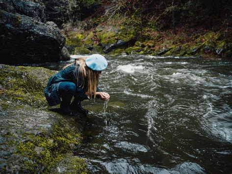 About Us - Healthy Watersheds Initiative