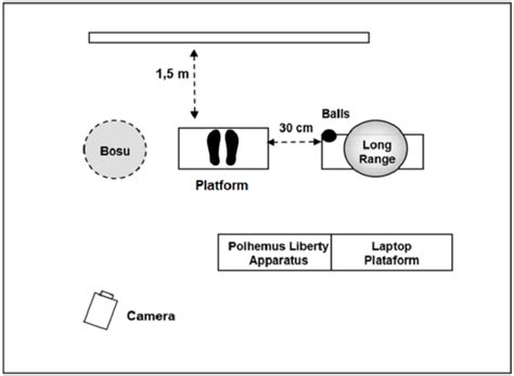 Experimental setup. Representation of the experimental setup in the ...