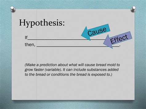 PPT - Bread Mold Experiment PowerPoint Presentation, free download - ID:4354876