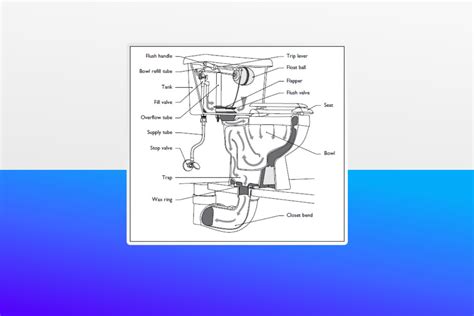 Guide to Parts of a Toilet With Diagrams - yardworship.com