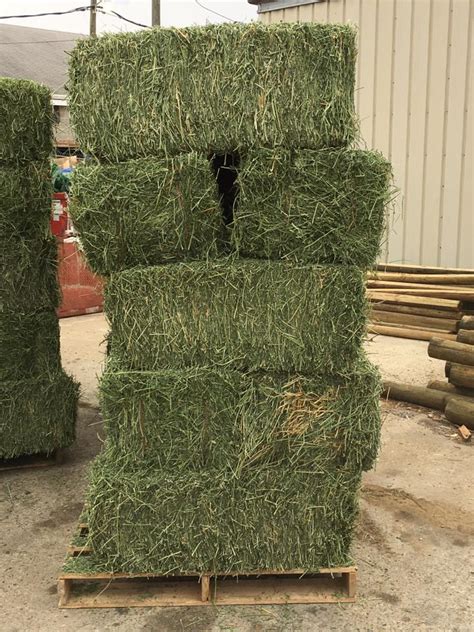 Lucerne Bales – ARRE CLO LIMITED