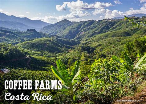 Costa Rican Coffee - History, Best Beans, Top Tours • James Kaiser