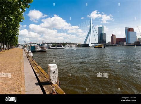 Erasmus bridge in Rotterdam the Netherlands, Europe Stock Photo - Alamy