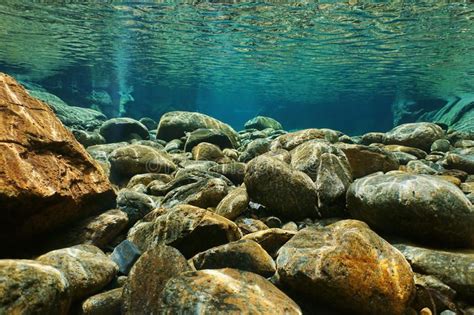 River Underwater Rocks Riverbed Clear Water Stock Photo - Image of nouvelle, aquatic: 89047700 ...