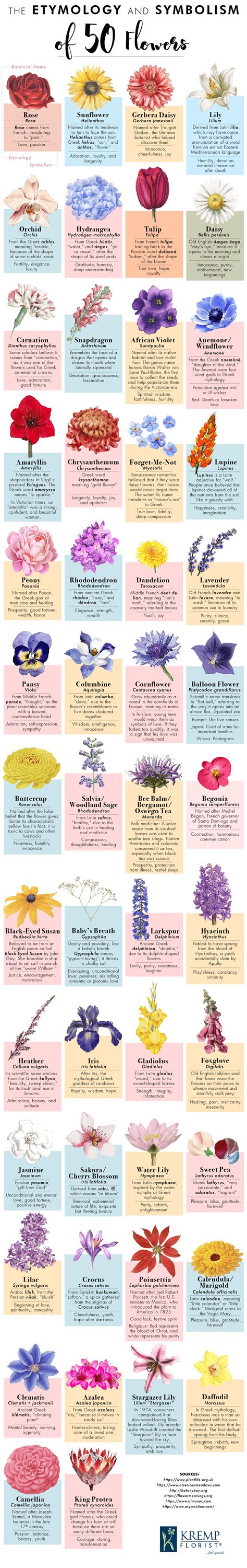 Flowers Meanings Chart | flowers-art-ideas.pages.dev