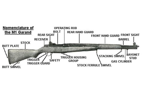 M1 Garand Rifle Parts - vrogue.co