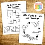 Earthworm Worksheets (free!) - Homeschool Share