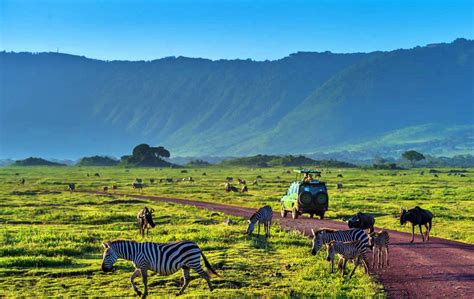 Day Tour To Ngorongoro Crater And Game Drive From Arusha – African Beast Tours