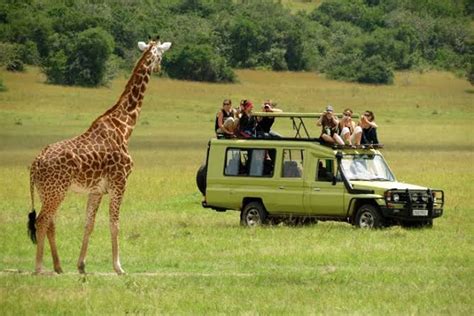 7 Days Tanzania Wildlife Safari | Tanzania wildlife safaris | Tanzania ...