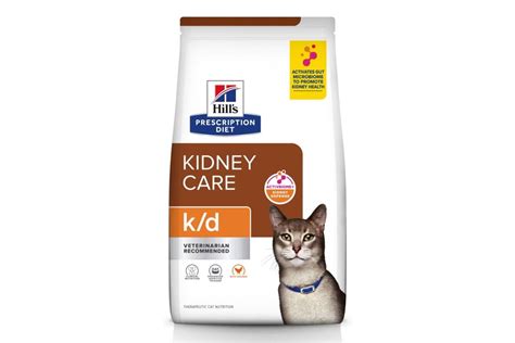 The 8 Best Cat Foods for Urinary Health in 2024