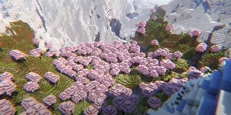 10 Best Minecraft Seeds For Cherry Blossom - MGN Diary