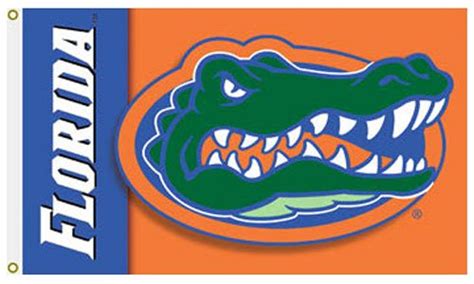 Buy University of Florida - 3' x 5' NCAA 2-Sided Polyester Flag | Flagline