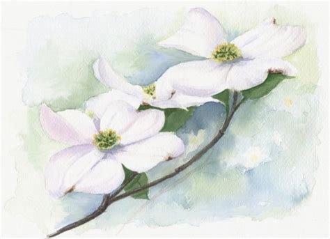 Watercolor Dogwood Tattoo - Viraltattoo