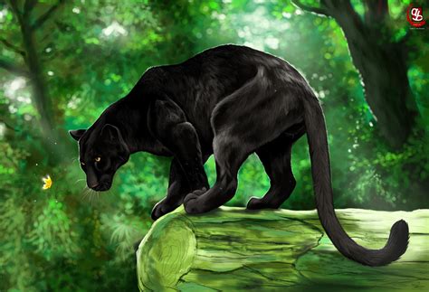 BLACK PANTHER by amitbaokar on DeviantArt