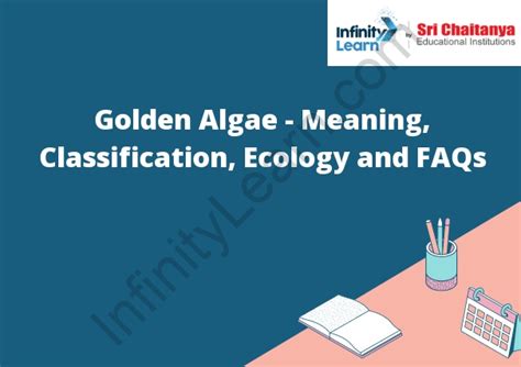 Golden Algae - Meaning, Classification, Ecology and FAQs - Infinity ...