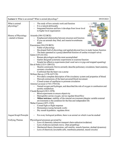 Lecture 1 What is an animal What is animal physiology - Google Docs ...