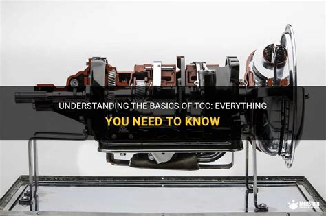 Understanding The Basics Of Tcc: Everything You Need To Know | MedShun