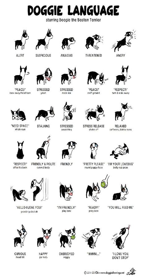 Deaf Dog Sign Language Chart