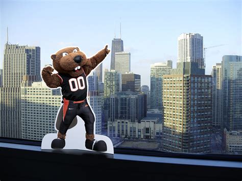 Benny Beaver with the Chicago skyline | OSU mascot Benny Bea… | Flickr