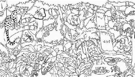 Free Rainforest Coloring Pages - Free Coloring Pages