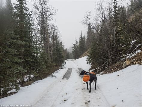 Photographer Dwayne Parton's stunning images of Alaska's Stampede Trail | Daily Mail Online