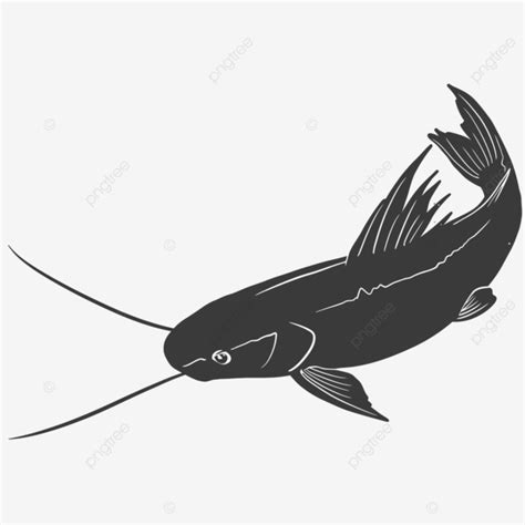 Ikan Baung PNG , Pescado Baung, Ikan Keting, Catfish PNG y Vector para ...