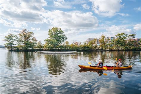 How to Go Kayaking or Canoeing on the Charles River