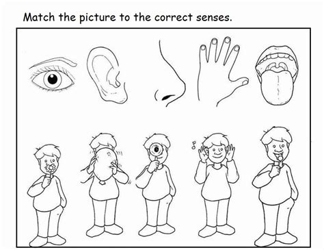 The Five Senses Coloring Pages - Coloring Home