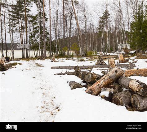 early spring with melting ice and snow Stock Photo - Alamy