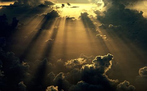 Golden Sunbeams: Nature's HD Wallpaper