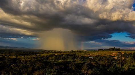 Phenomenon: Microbursts