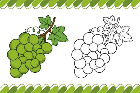 Grapes Coloring Page