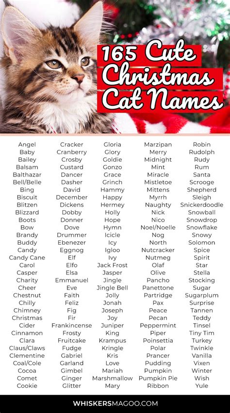 165 Cute Festive Christmas Names for Cats - Whiskers Magoo | Christmas ...