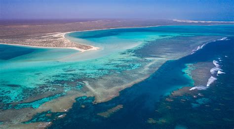 Ningaloo Reef Cruise | Aurora Expeditions™