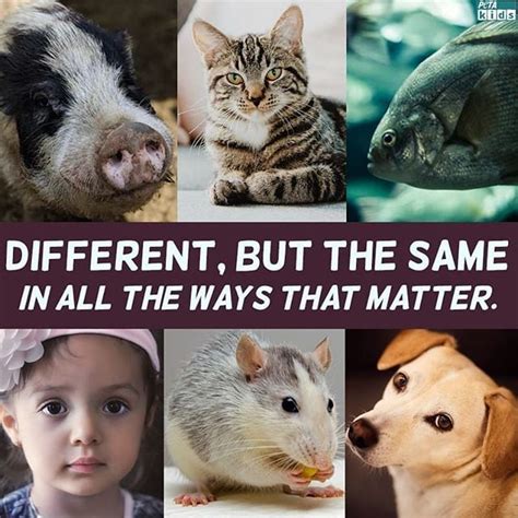 5 Examples of Speciesism—and How You Can Help Stop It! | PETA Kids