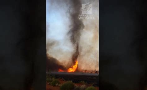 What caused this ‘fire tornado’? | The West Australian