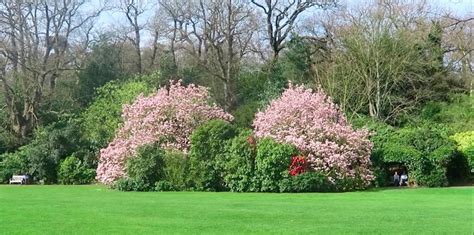 Video: The Gardens Of Kenwood House | Londonist