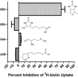 The characterized biotin synthesis pathways (A) and the ECF biotin... | Download Scientific Diagram