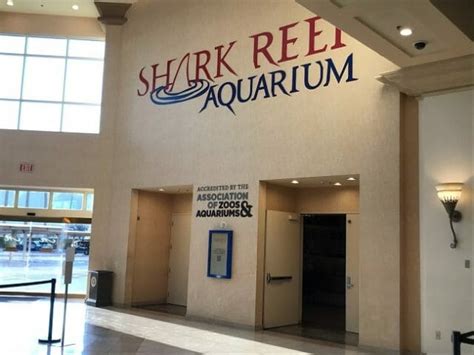 Shark Reef Aquarium at Mandalay Bay: Ticket Prices & Hours 2023