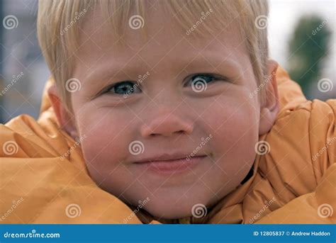 Young Boy Looking Confident Stock Image - Image of looking, leaning ...