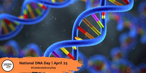 NATIONAL DNA DAY - April 25 - National Day Calendar