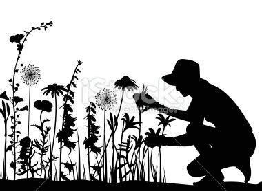 witch tending garden silhouette | Gardener Silhouette | Golden ...