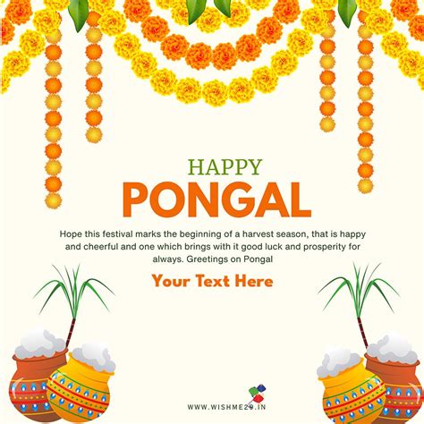 Happy Pongal 2024 Wallpapers - Wallpaper Cave