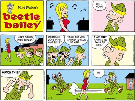 The 25 Best Sunday Comic Strips of All Time | Beetle bailey, Comic strips, Sunday humor