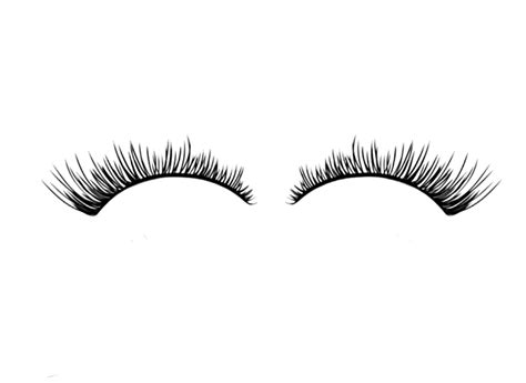 Png Eyelash 3 by Moonglowlilly on DeviantArt