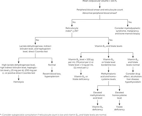 Anemia in Older Adults | AAFP