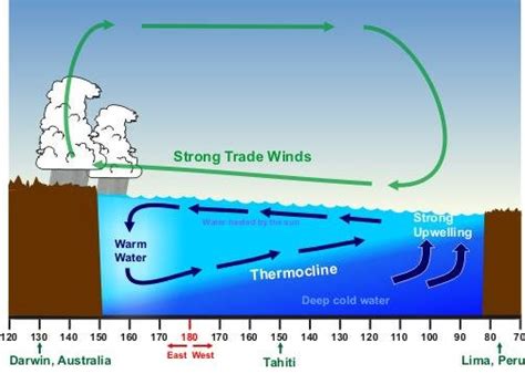 [DIAGRAM] El Nino La Nina Diagram And Easy - MYDIAGRAM.ONLINE