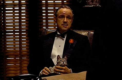 godfather & cat Blank Template - Imgflip